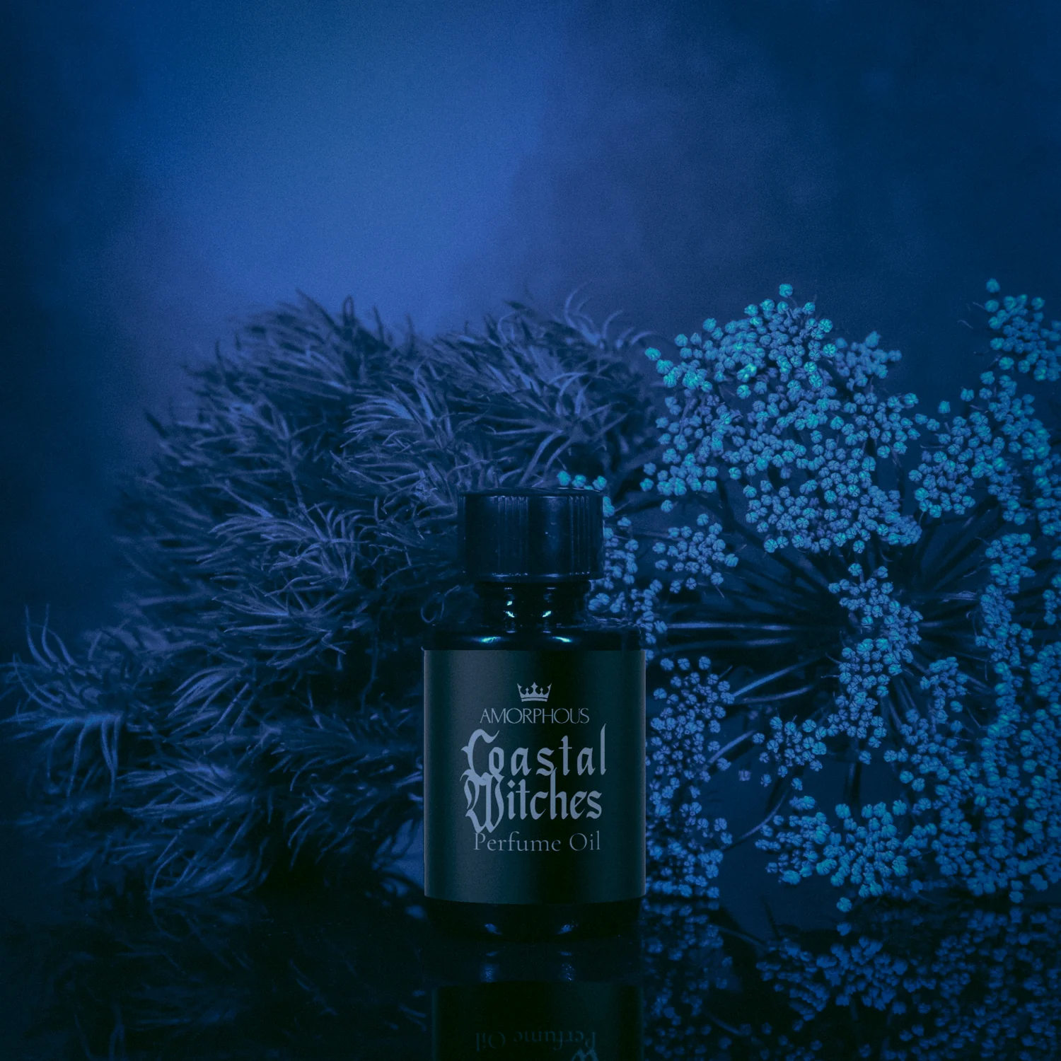 Coastal Witches Perfume Oil - Image 3