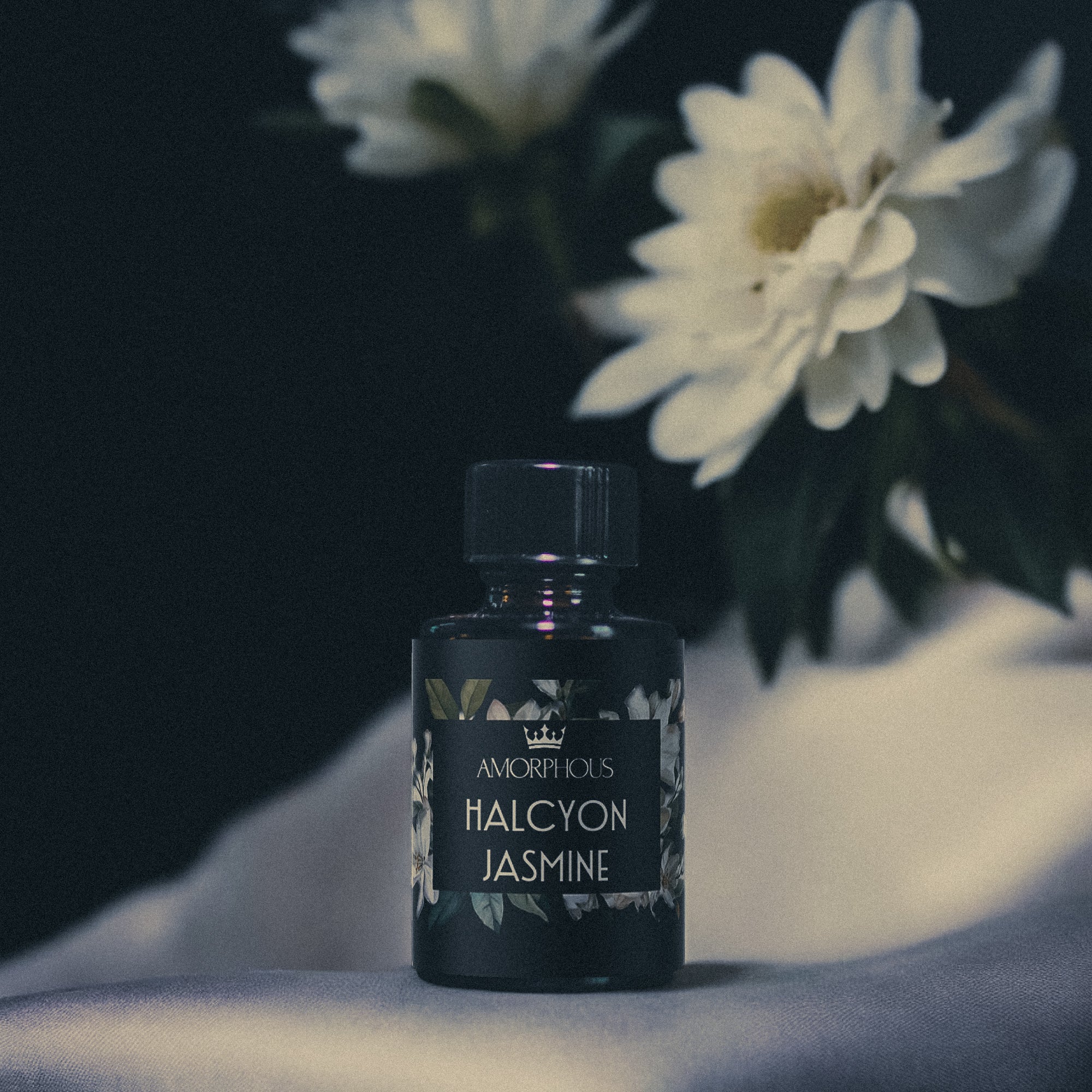 Halcyon Jasmine Perfume Oil Final Microbatch (Retired) - Image 3