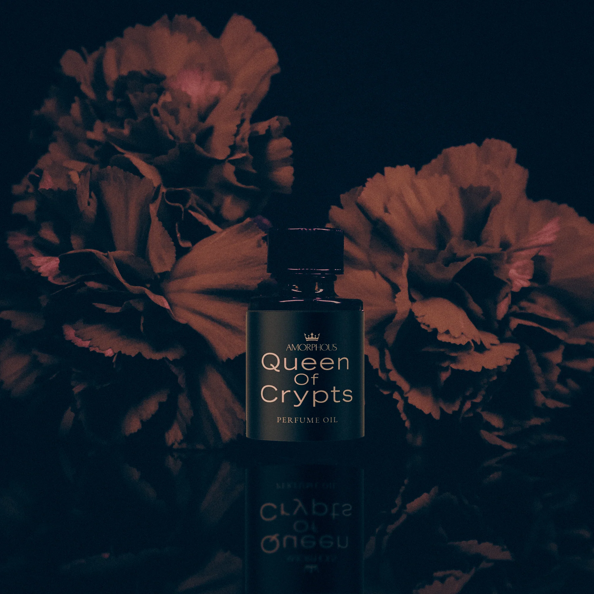 Vampire Perfumes Discovery Set - Image 5